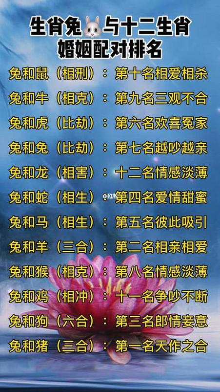 属兔的最佳婚配