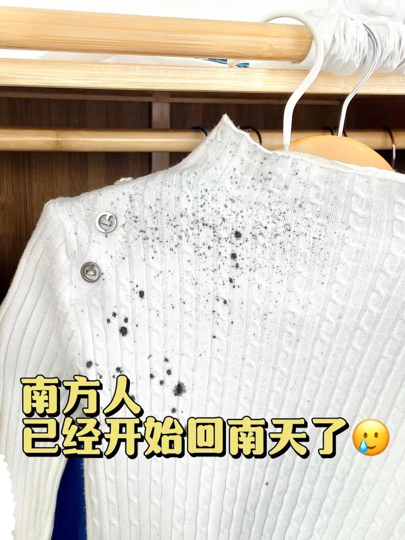 如何去除衣服上的霉斑霉迹