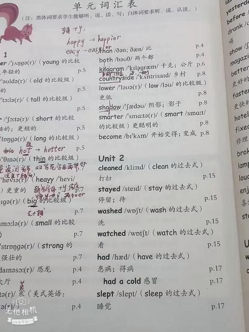 六年级下册英语单词人教版