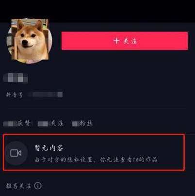 抖音被拉黑后的样子