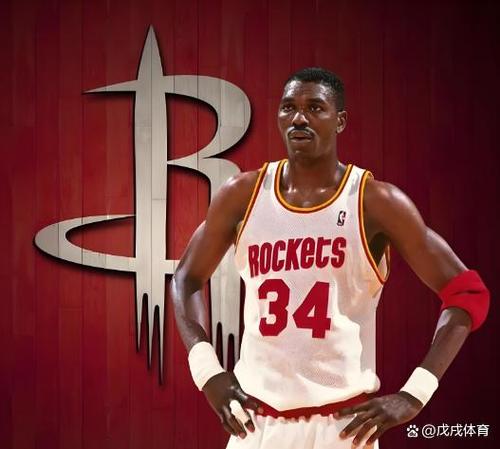 nba历史单场盖帽纪录