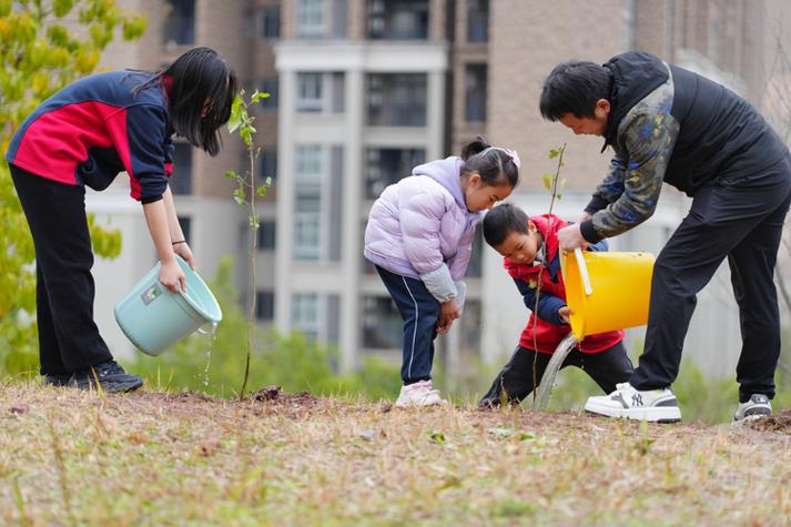 爸爸妈妈和我去植树游戏截图
