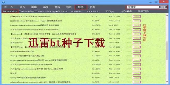 迅雷能看种子吗