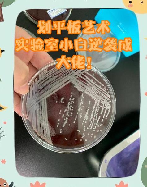 上海做实验室设备的公司