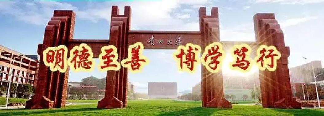 明德至善教育培训学校