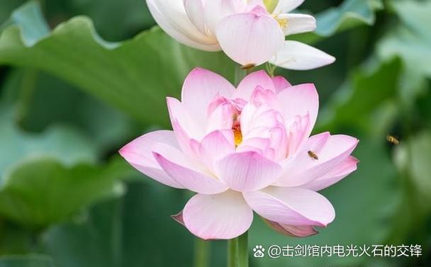 小米1分钟内不提醒