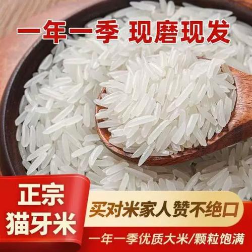 大米新米与旧米的区别