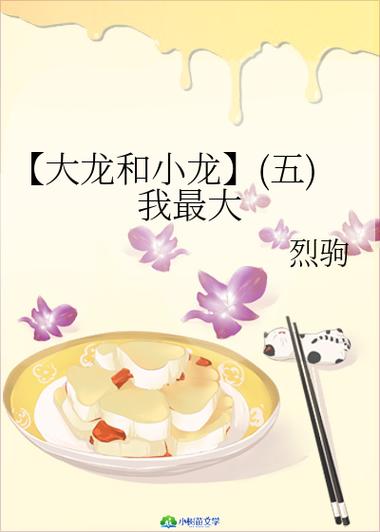 大龙和小龙的故事