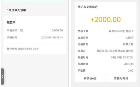 美团借钱有9000额度可借吗