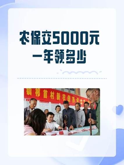 新农保是什么保险