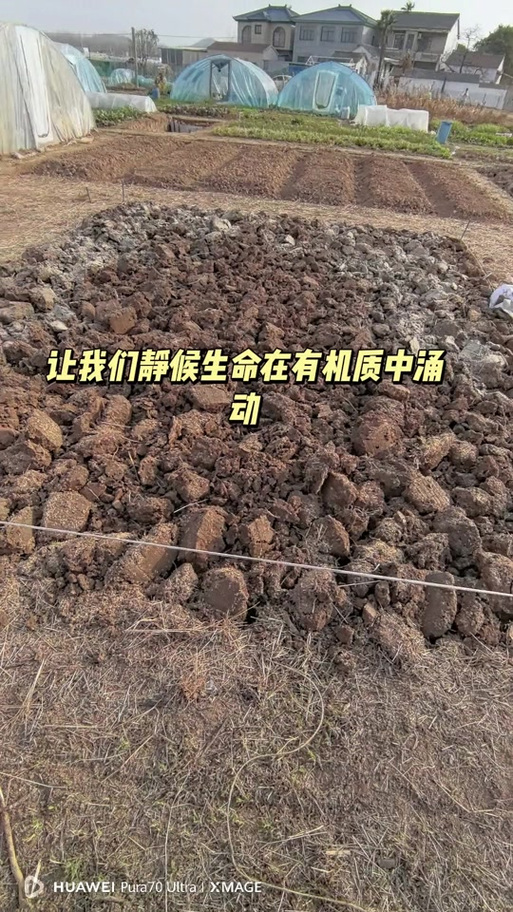 我的世界怎么开垦土地