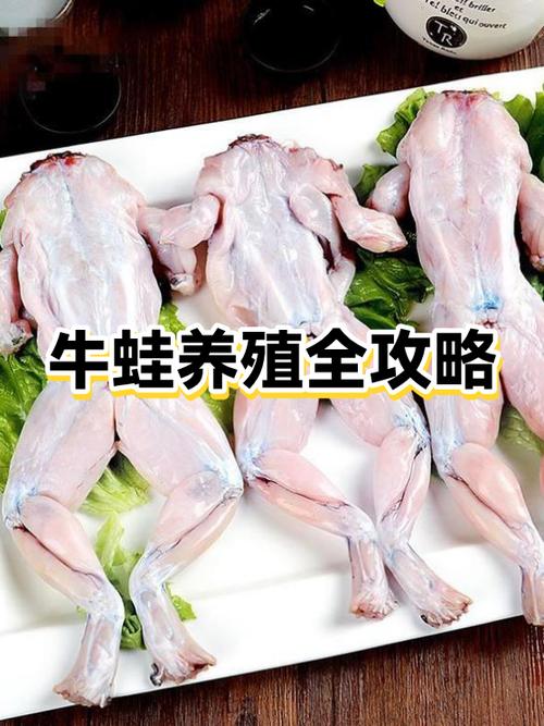 一亩牛蛙养殖要投入多少费用