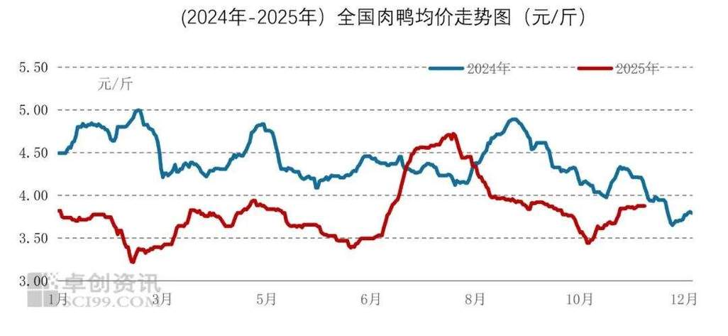 今日最新白羽肉鸡价格