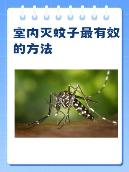 室内驱蚊子最有效的方法