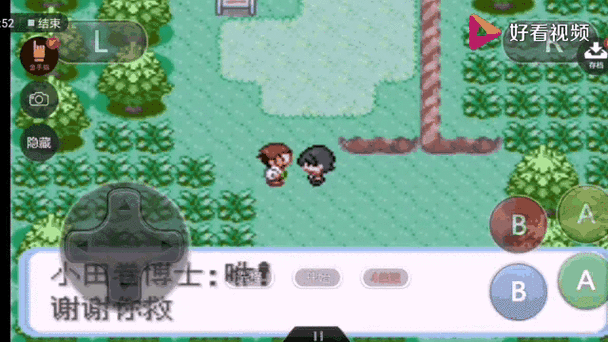 口袋妖怪蛇纹木攻略三周目