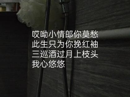 红袖是什么意思缩略图