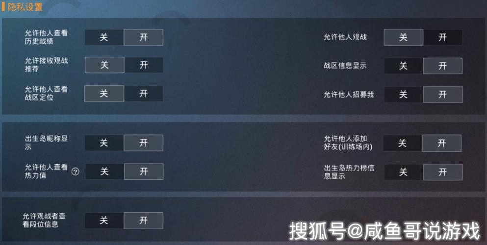 和平精英怎么没有隐私设置