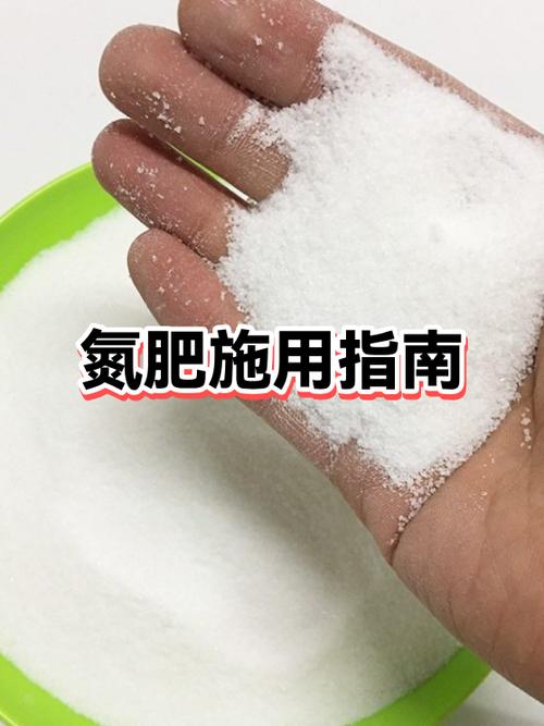 黑色素缺失吃什么补充最快
