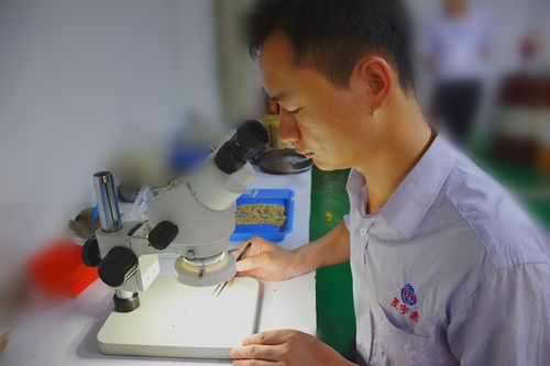 手机话筒被针插了一下有没有影响