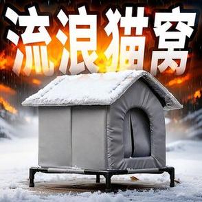 猫窝论坛