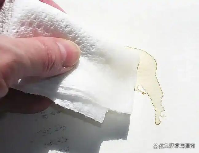 纸上有油污怎么弄干净
