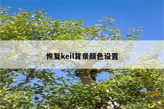 keiluv3进入编程状态改背景色