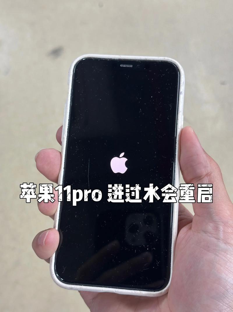苹果手机进水自动重启不停