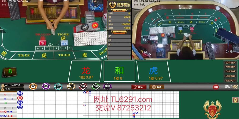龙虎彩票9161软件