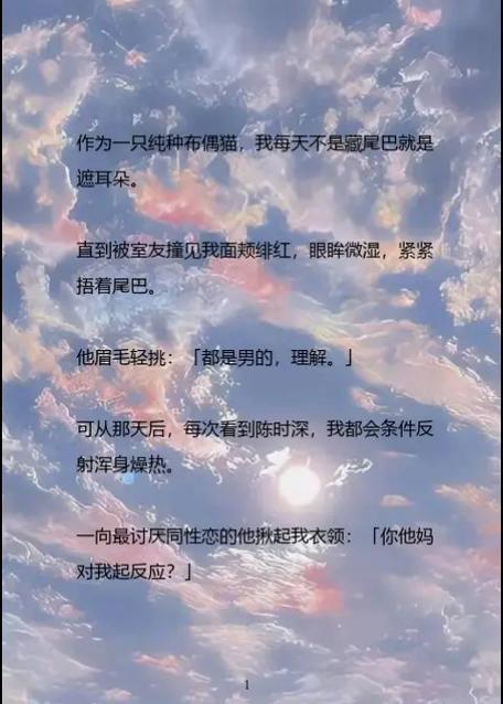 猫猫小说官网首页