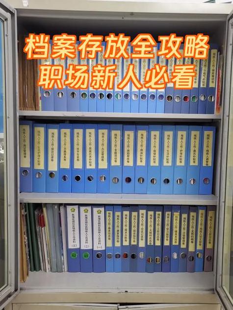 新手如何做档案管理人员