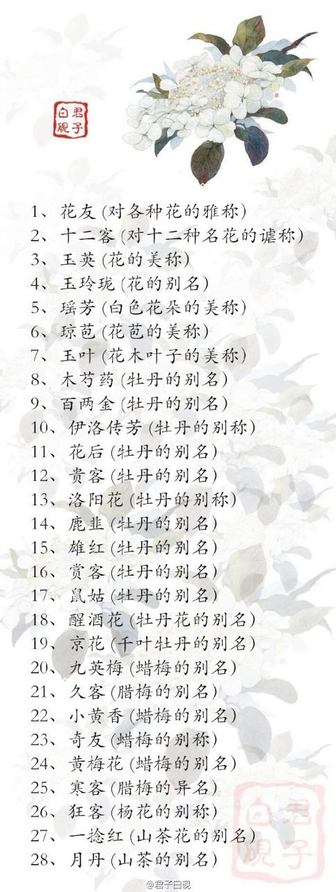 花朵的雅称截图
