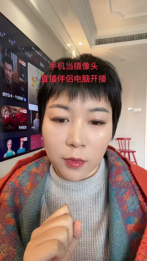 直播伴侣不显示摄像头画面