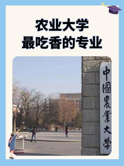 农大女生最吃香的专业游戏截图
