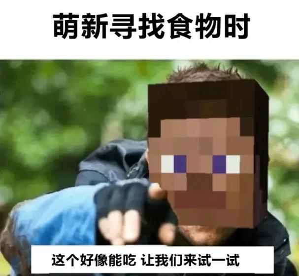 我的世界恶搞朋友截图