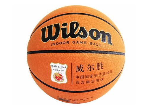 威尔胜中国总代理