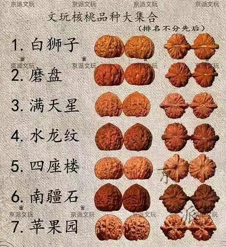 盘核桃的品种有哪些