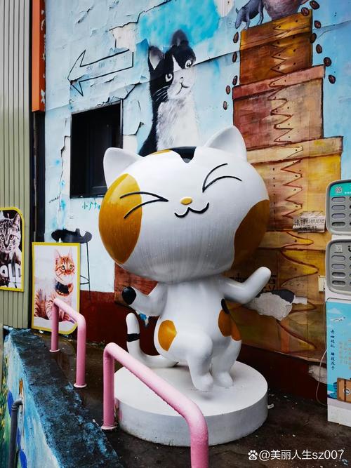 莱特猫平台
