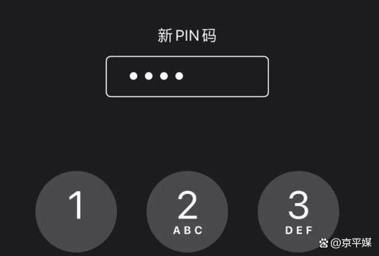 pin锁定是什么意思图标