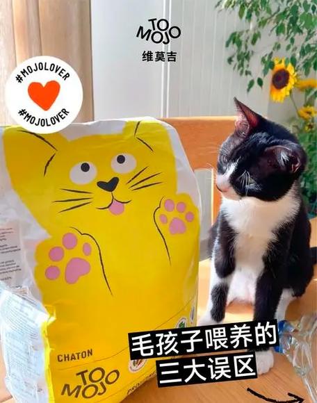 小仓鼠为啥不建议养