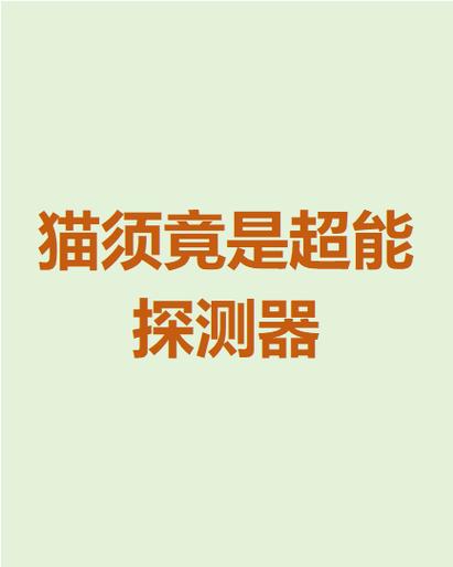 猫上面带两根天线有什么用