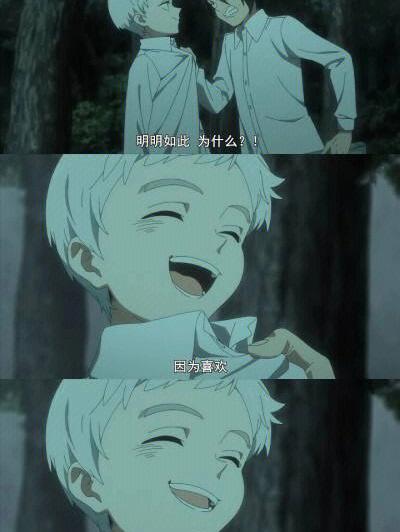 梦幻岛电影观后感