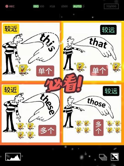 those和them的区别