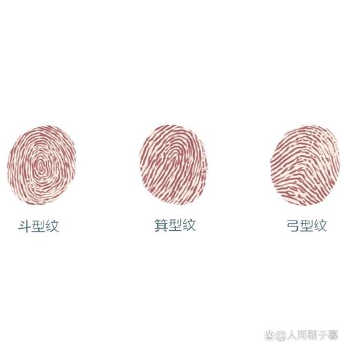 贴膜了指纹用不了图标