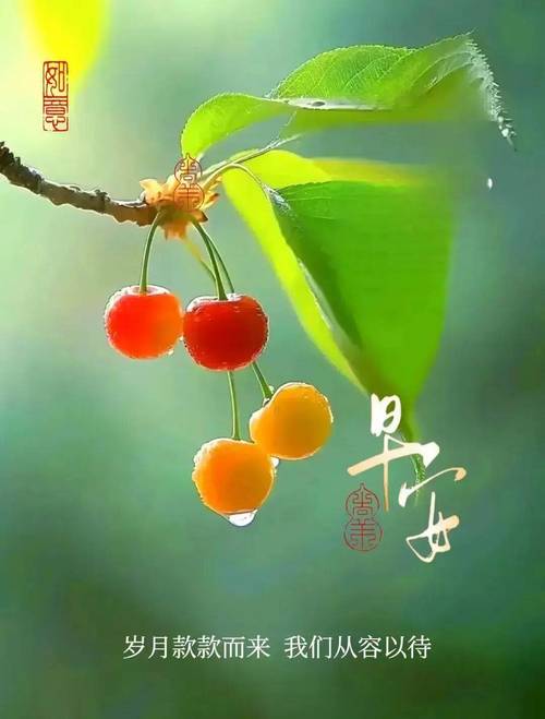 男生说不打扰你了我该怎么回答他图标