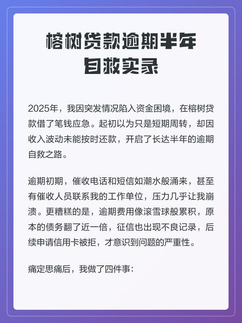 榕树贷款亲身经历