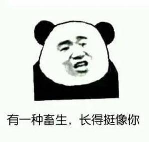斗图表情包 骂人缩略图