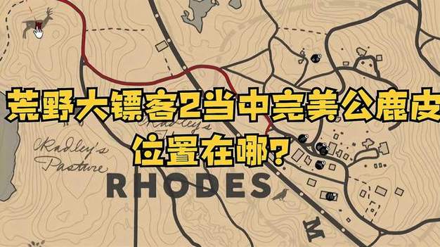 完美的公鹿皮在哪