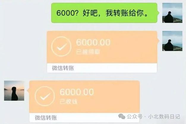 微信拉黑对方转账还能退回吗游戏截图