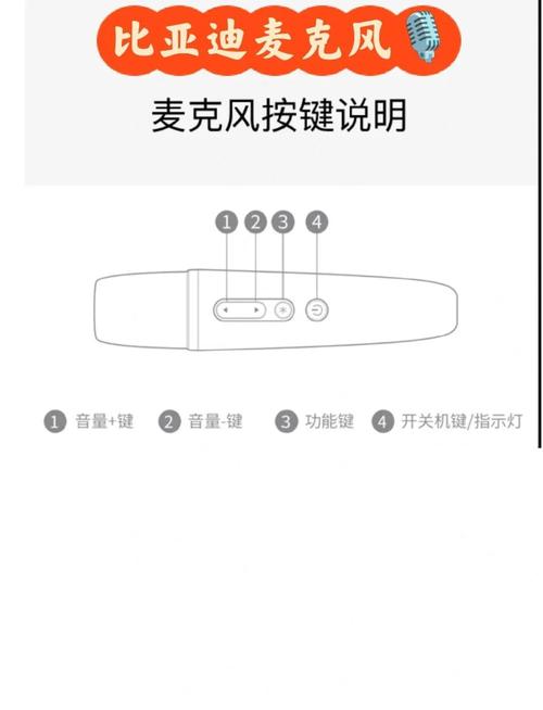 比亚迪麦克风权限设置哪里开