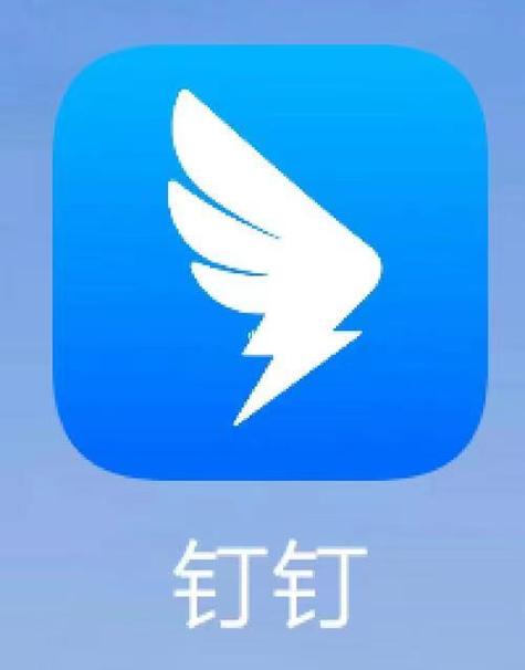 钉钉 打卡